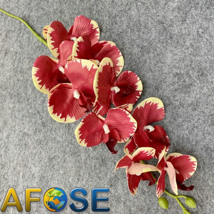 3D artificial phalaenopsis