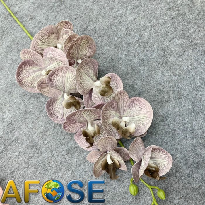 3D artificial phalaenopsis