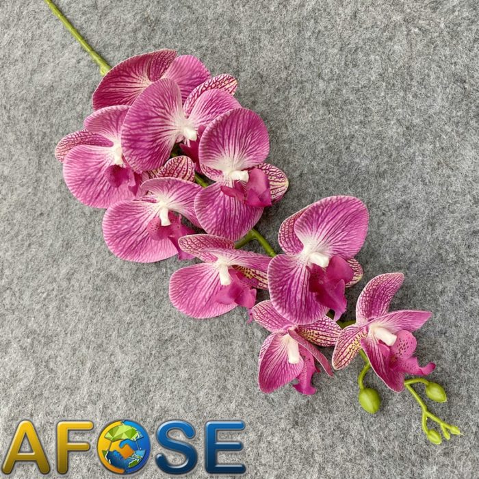 3D artificial phalaenopsis