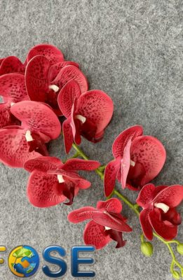 3D artificial phalaenopsis