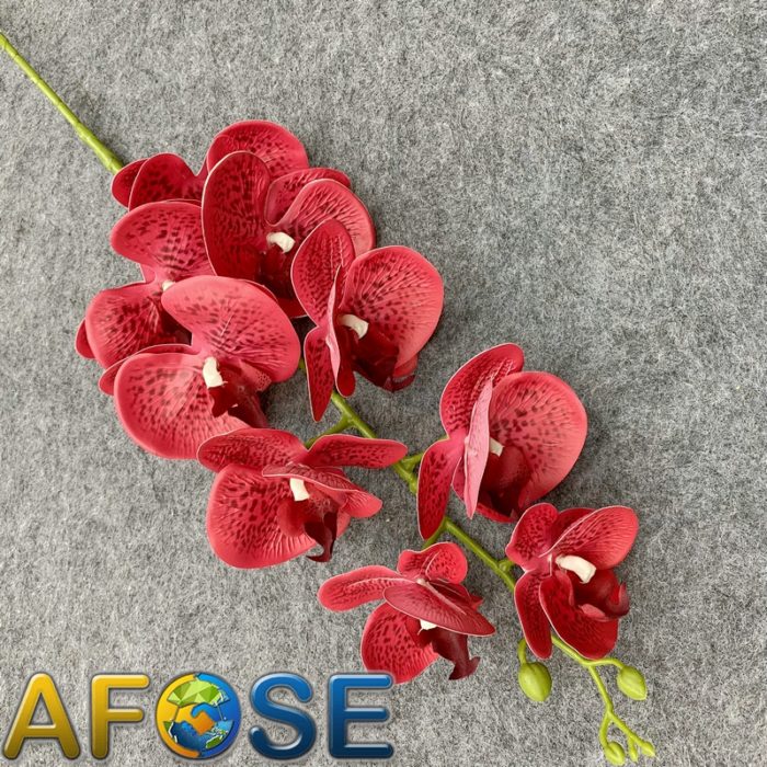 3D artificial phalaenopsis