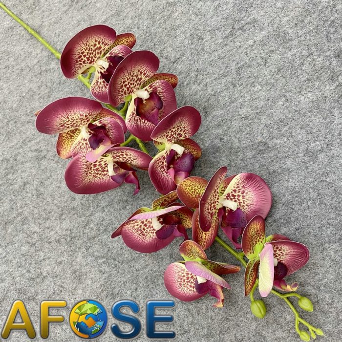 3D artificial phalaenopsis