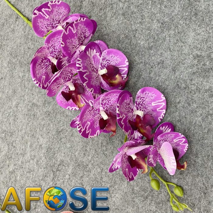 3D artificial phalaenopsis