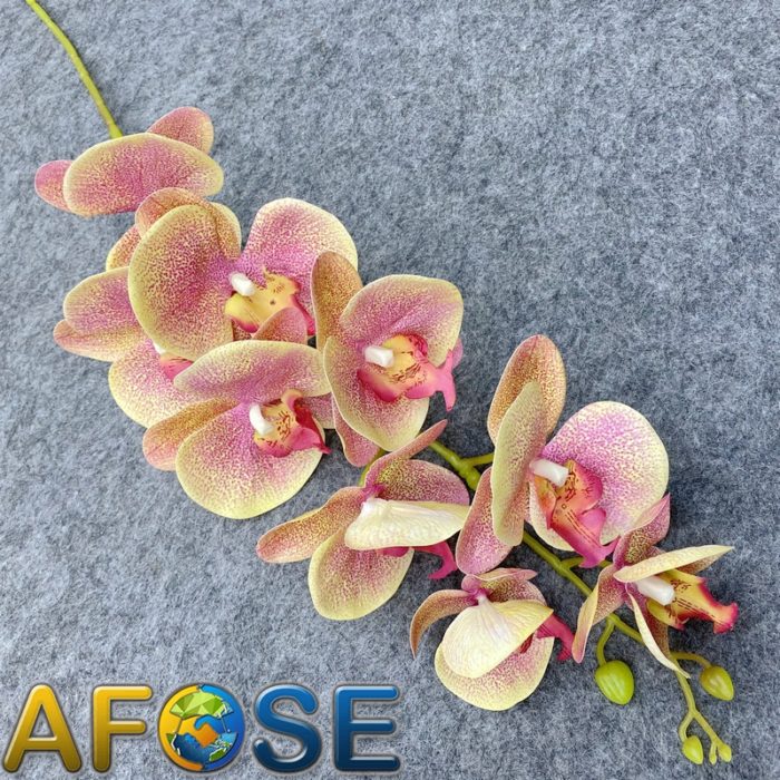 3D artificial phalaenopsis